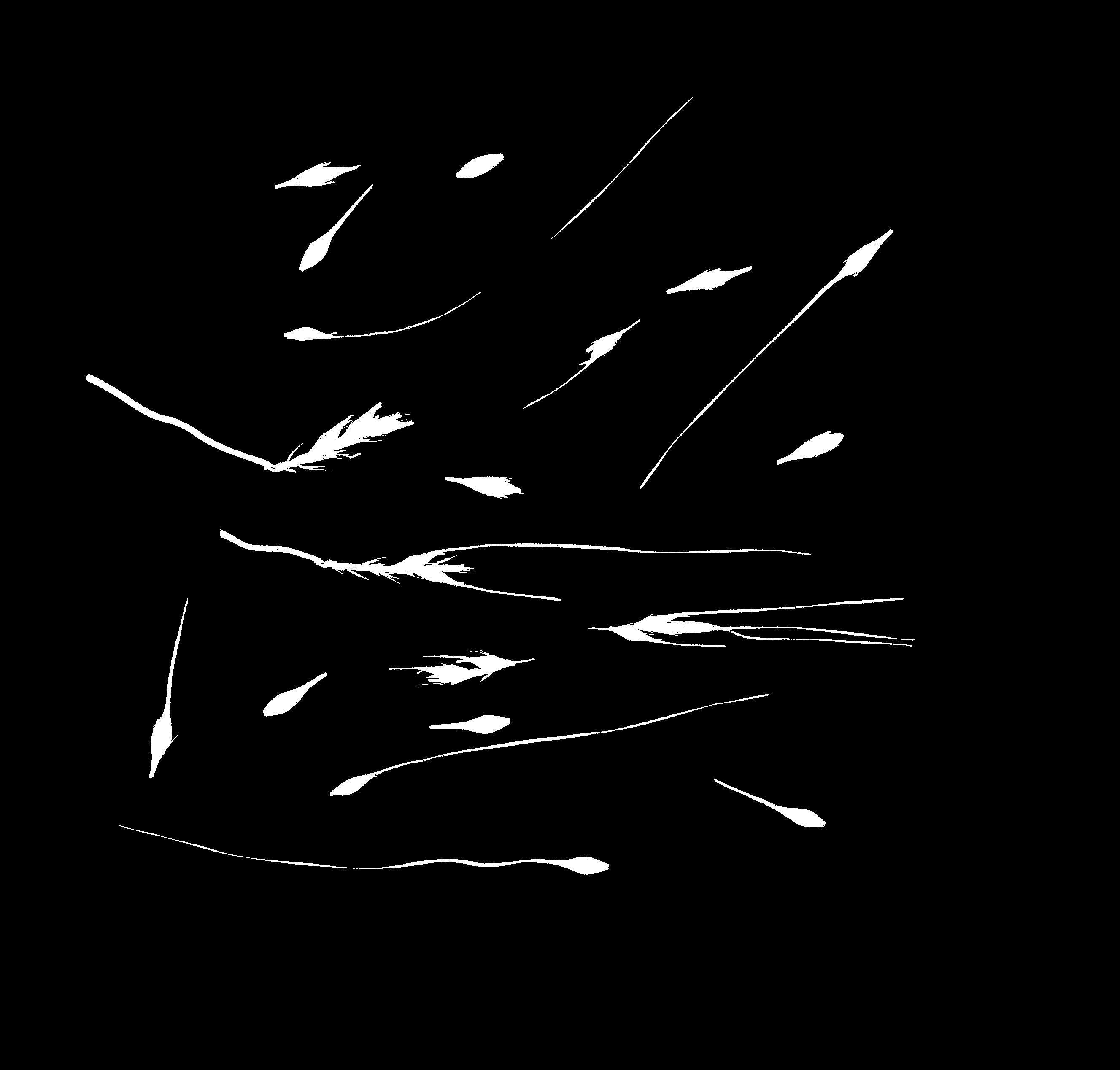 bin_img