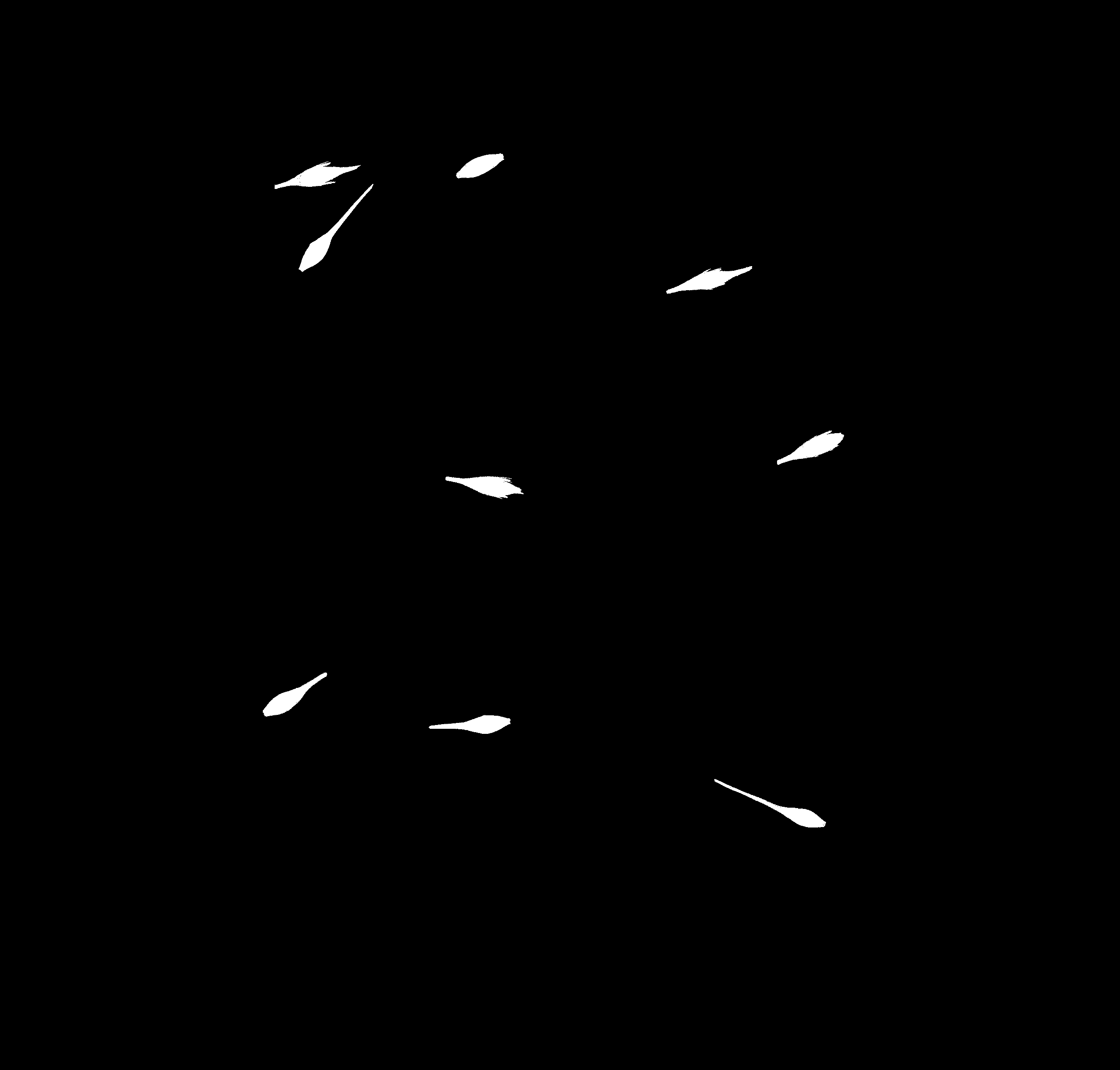 count_img