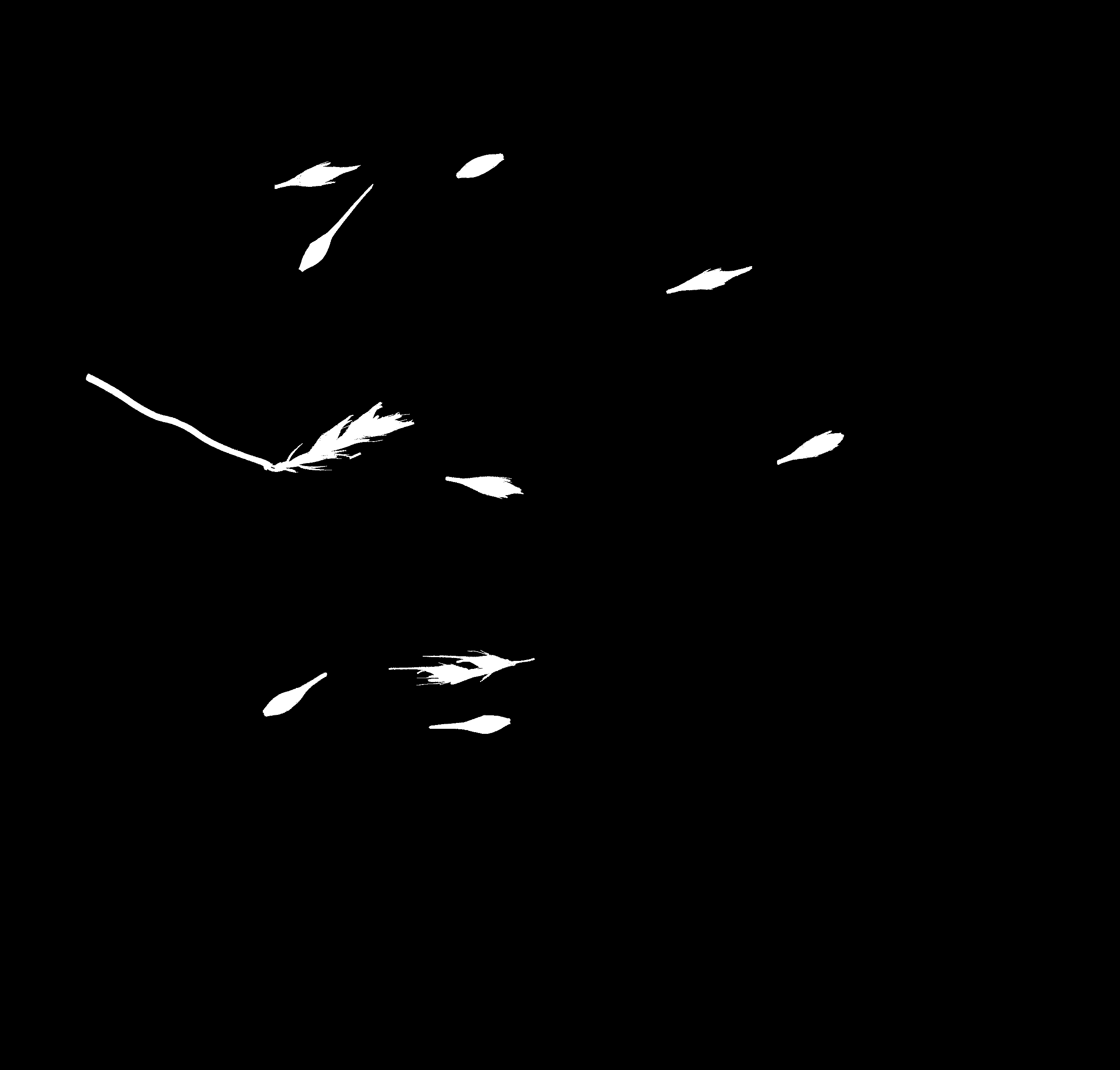 count_img