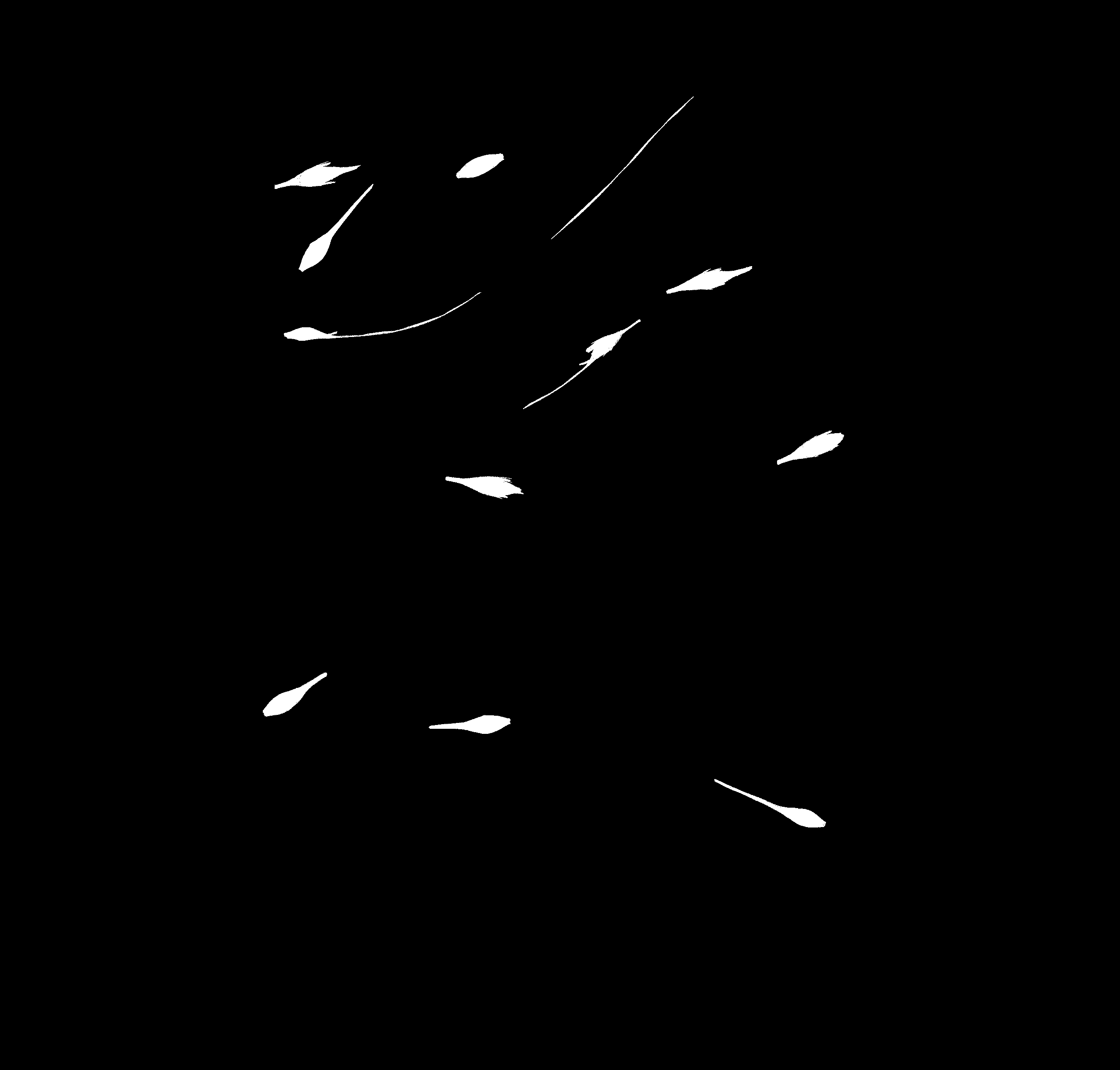 count_img