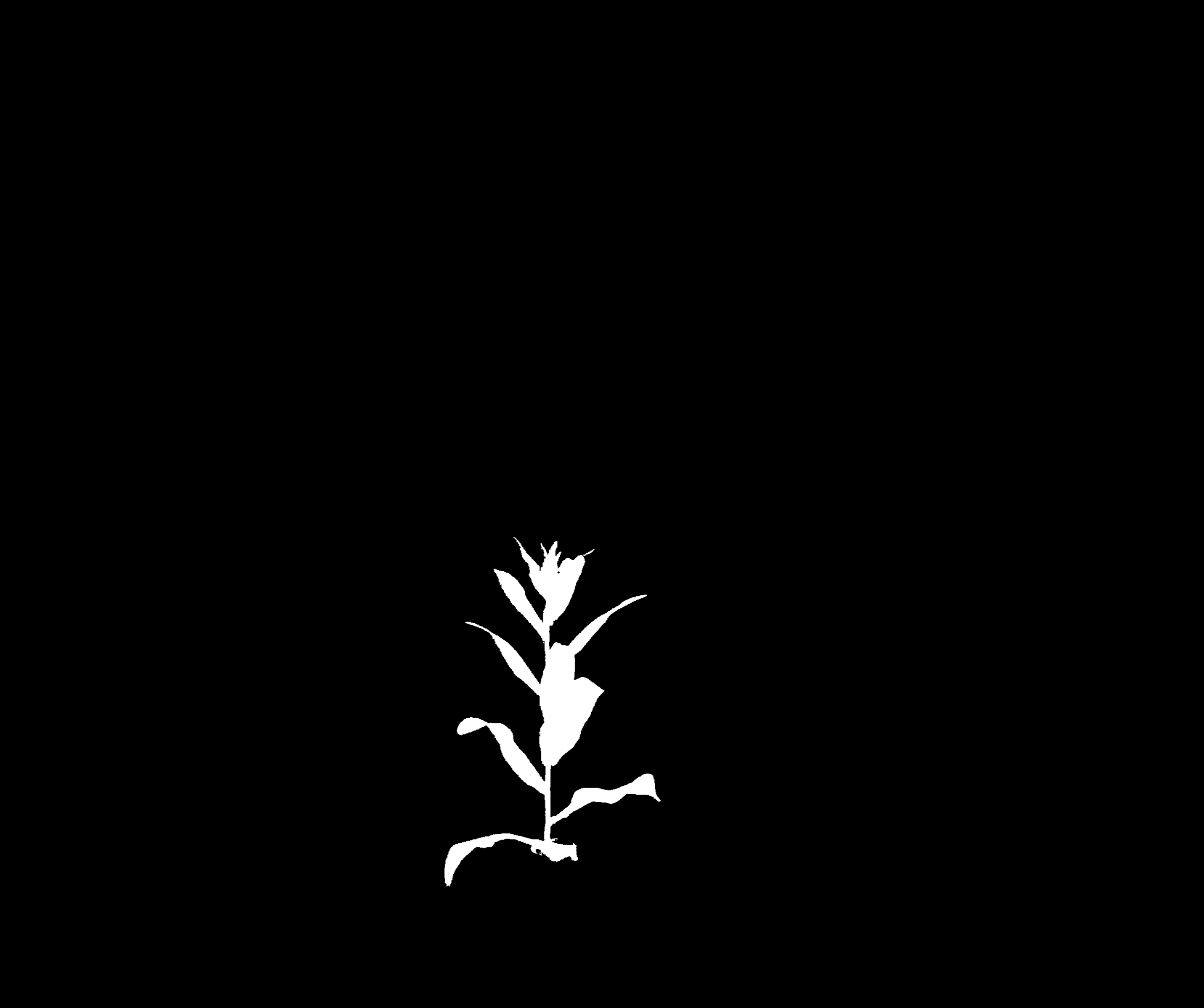 refimg with overlay