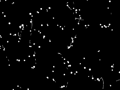 bin_img